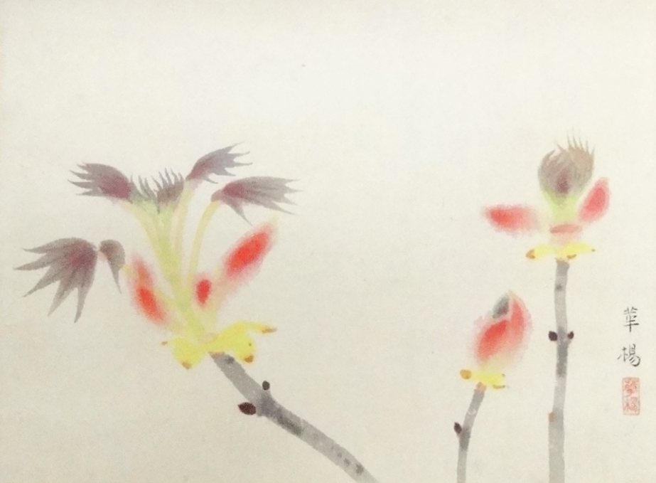 山口華楊