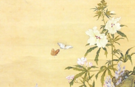 沈南蘋